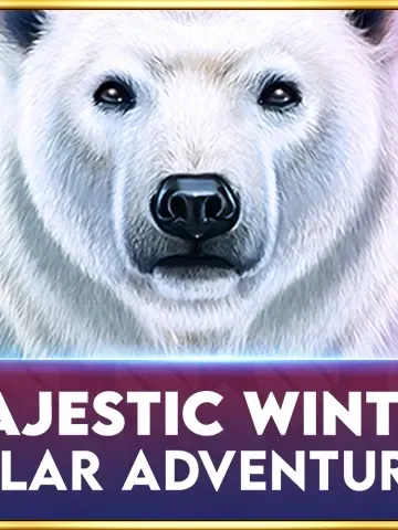 Majestic Winter - Polar Adventures